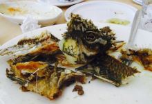 Taverna Dalya美食图片