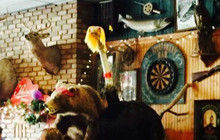 Sportsman's Bar and Restaurant餐厅图片