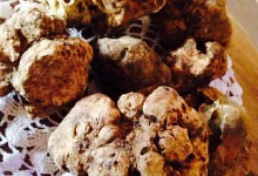 L'Osteria Aleramo美食图片