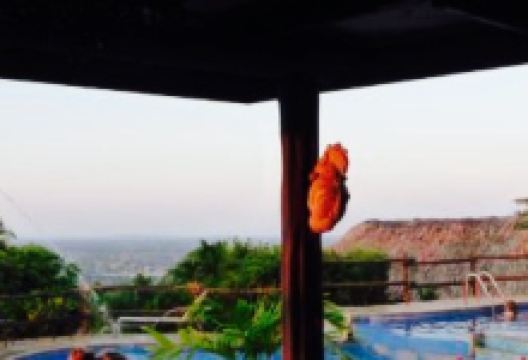 Cahal Pech Resort美食图片