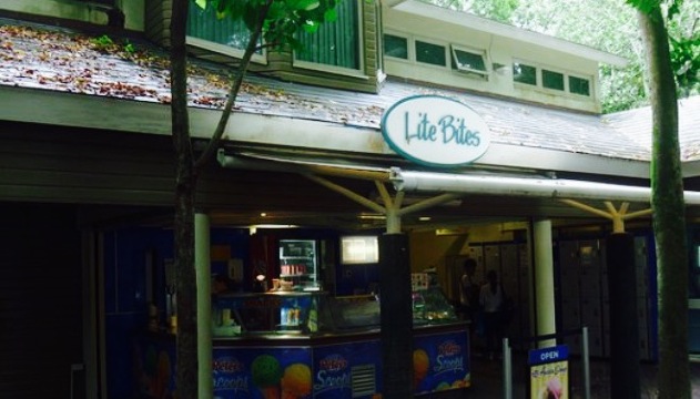 Lite Bites