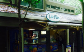 Lite Bites