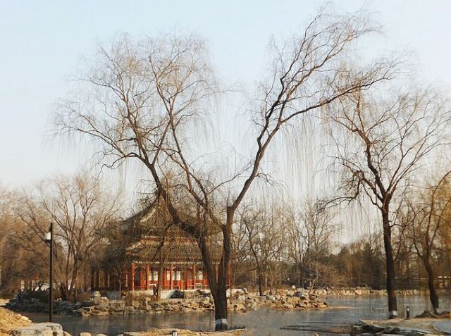 Old Summer Palace