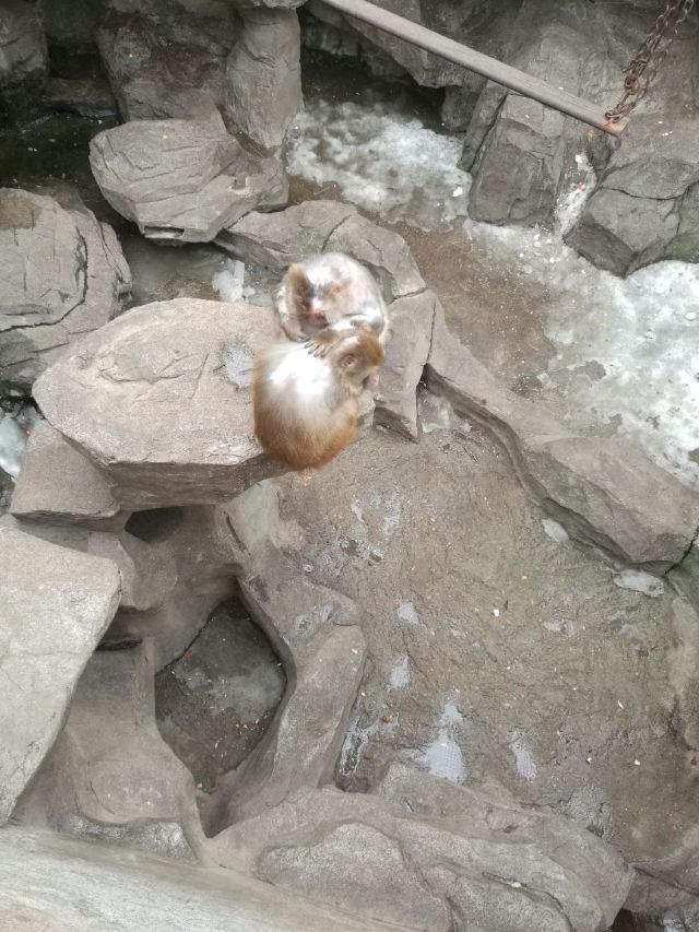 황금강 리조트