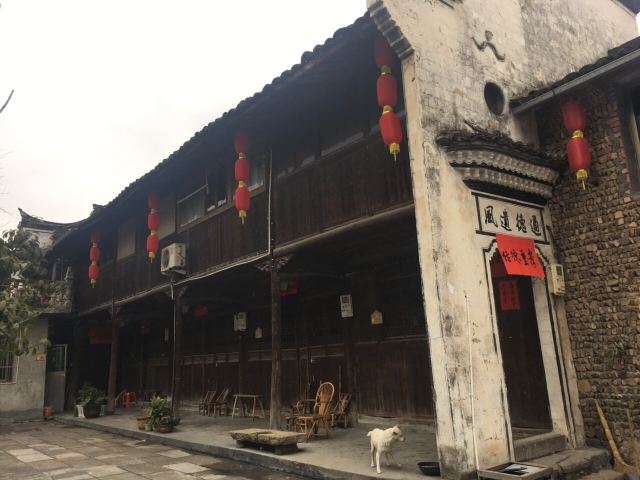 강남 제일의 가문