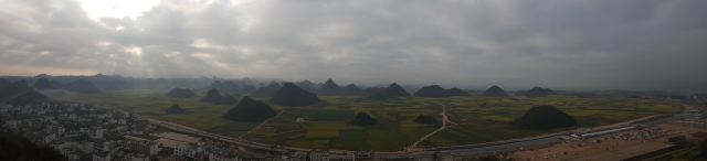 Luoping Canola Flower Ocean