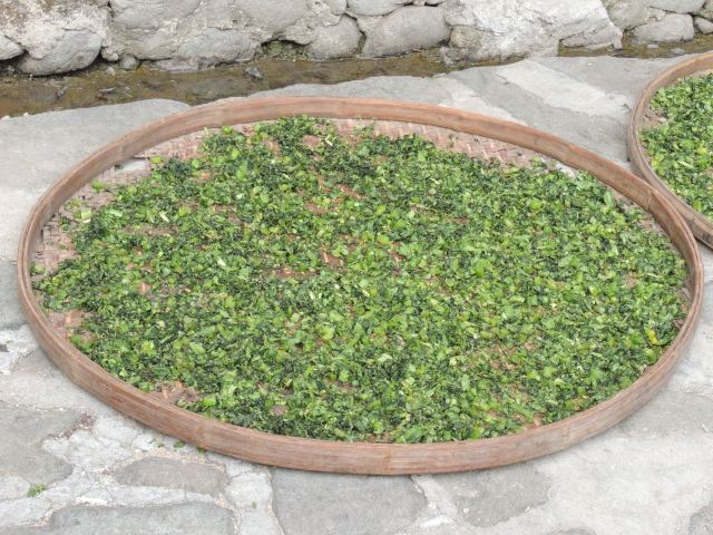 Tianluokeng Tulou Cluster