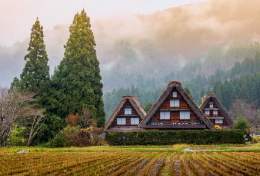 日本名古屋白川乡+高山市一日游【VIP中文专车+景点可调】【日本高山一日游】