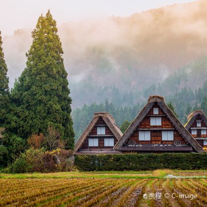 日本名古屋飞驒高山+白川乡二日游