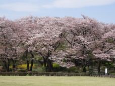 神代植物公园-调布市-是条胳膊