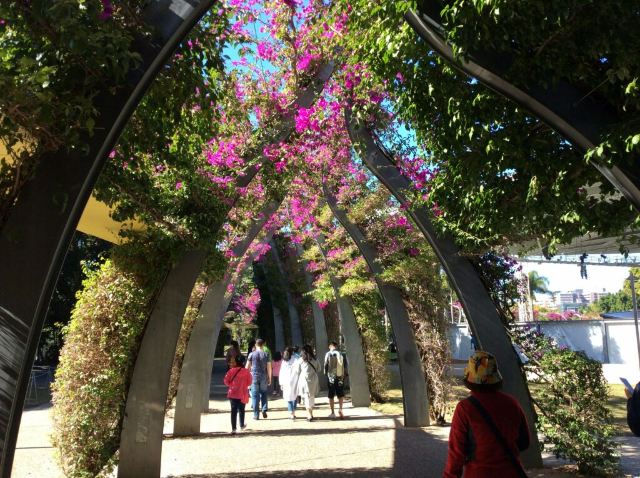 South Bank Parklands