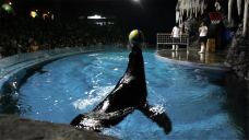 郑州海洋馆-郑州-doris圈圈