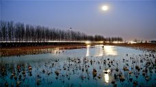 运河湿地公园-枣庄-doris圈圈