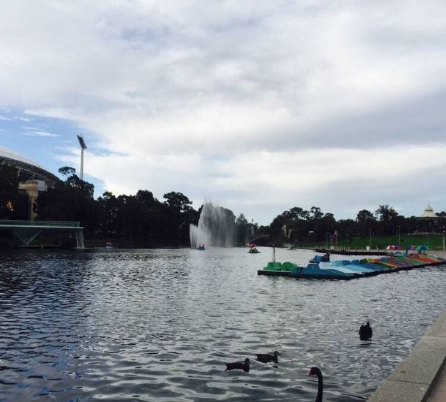 Torrens River