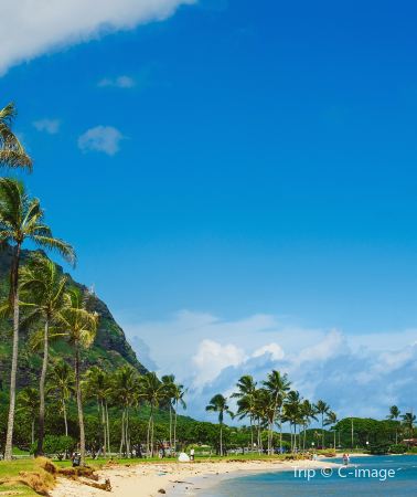 11D10N • Hawaii Classic Tour: 3 Days on Hawaii Island & 7 Days on O'ahu - One Complete Package
