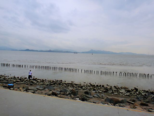 Shenzhen Mangrove Nature Reserve
