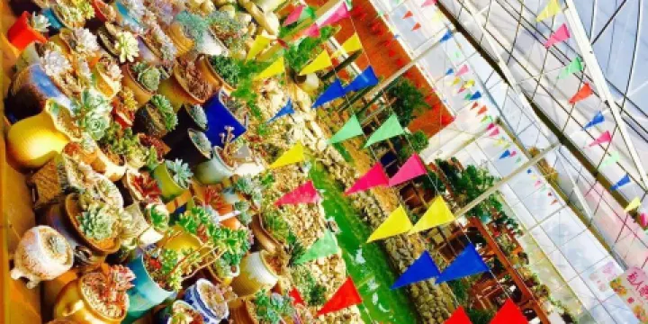 開心多肉植物園