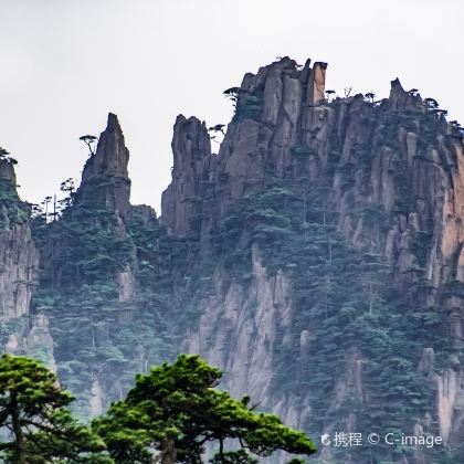 黄山2日1晚跟团游
