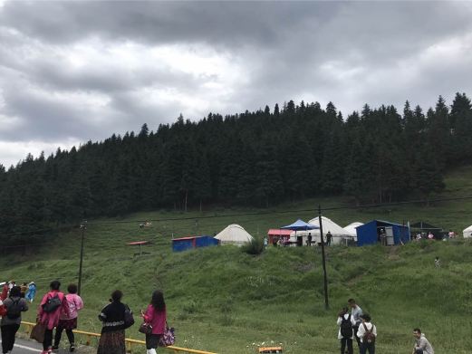 南山牧场