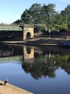 乌斯河-约克-穗穗子