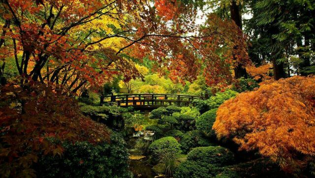 波特兰波特兰日本花园游玩攻略简介,波特兰波特兰日本花园门票/地址/图片/开放时间/照片/门票价格【携程攻略】