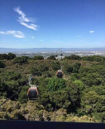 Auckland Zoo