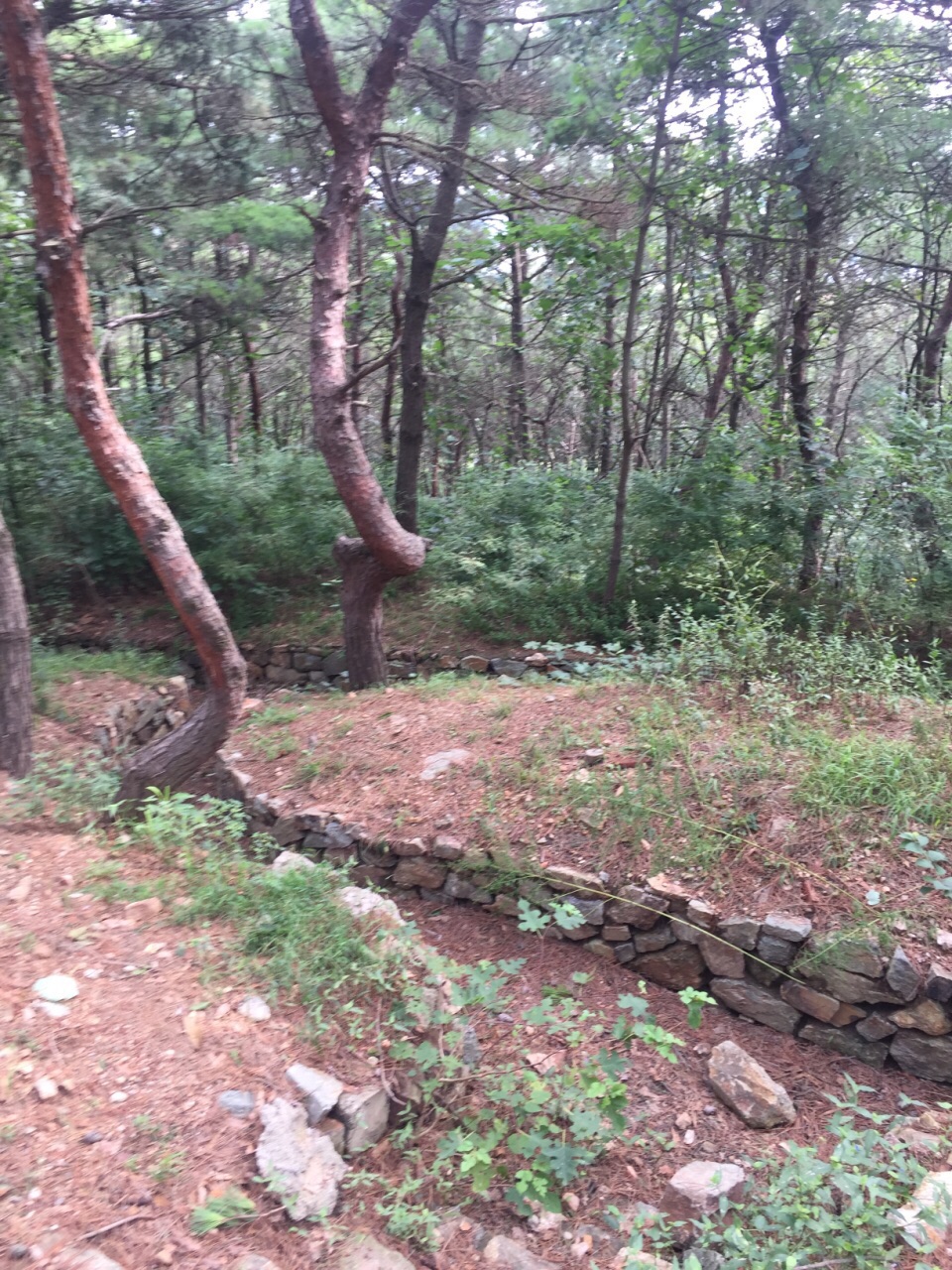 走进旅顺·东鸡冠山景区