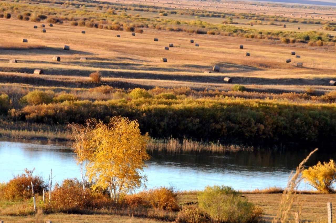 秋日的草原与额尔古纳河