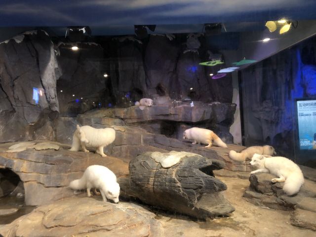 Grandview Aquarium