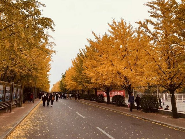 沈阳农业大学-5食堂