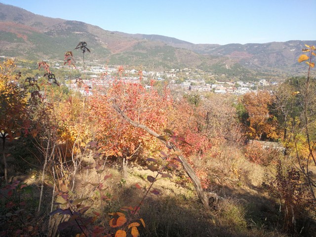 香山公园