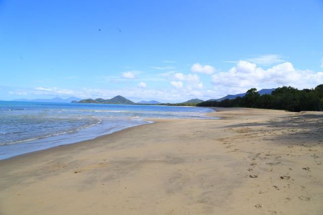 Palm Cove