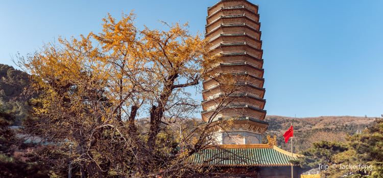 Ling Guang Monastery Travel Guidebook Must Visit