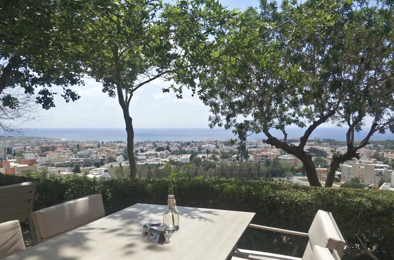 Muse Cafe Kitchen Bar餐厅图片