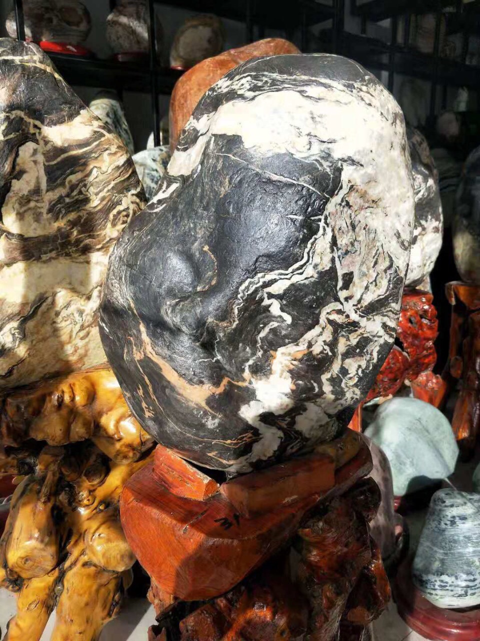 山旺化石博物馆
