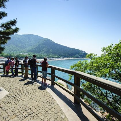 海军博物馆+琴屿路+崂山+小麦岛公园+中华人民共和国水准零点景区一日活动