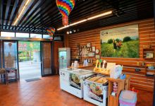 春一枝鹿野76美食图片