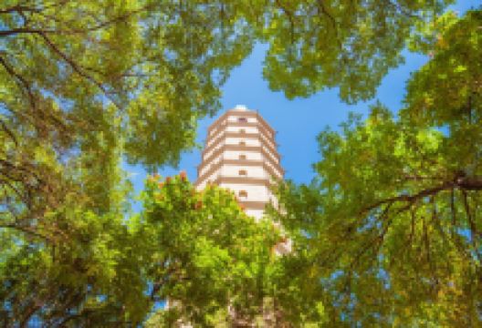 承天寺塔景点图片