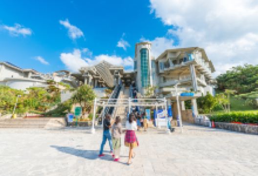 国营冲绳纪念公园景点图片