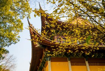 绍兴新昌大佛寺景区半日游【探访-新昌大佛寺+人工讲解服务到】【1、祈福之地：始建于东晋年间，有1600多年历史，在佛界有很高的地位！】