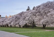 埃德蒙兹旅游图片-西雅图3日游