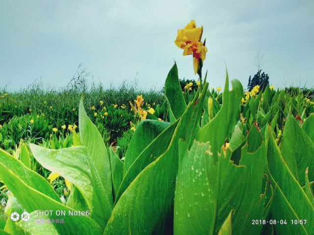 Yueliangwan Wetland Park