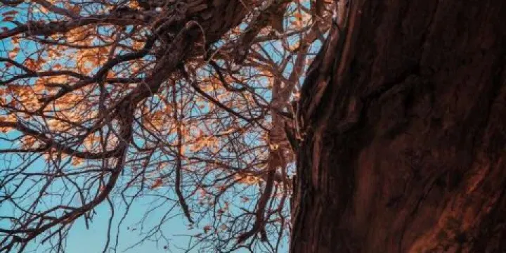 銅仁民族風情園