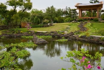 涯月海岸道路+济州泰迪熊博物馆+山茶花之丘+柱状节理带一日游【济州西线一日游[中文司导+专车接送]】