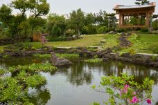 山茶花之丘-西归浦市-C-IMAGE