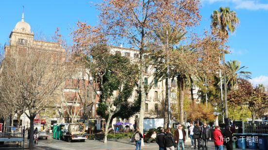 Plaza De Toros De Palma De Mallorca Travel Guidebook Must Visit