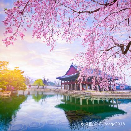 韩国首尔5日4晚私家团