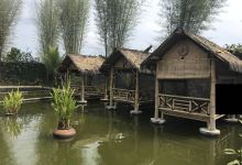 ViaVia美食图片