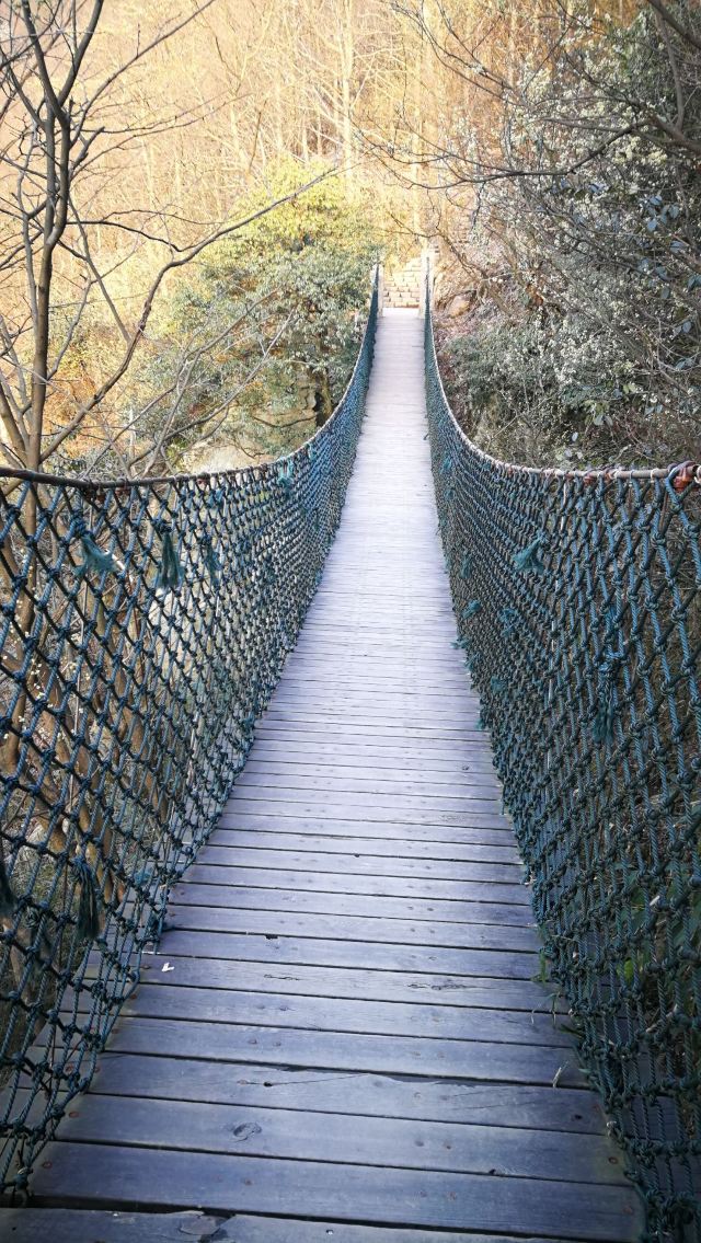 莫干山景區