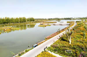 阿克苏市游记图文-这是南疆最大的国家湿地公园，誉为塔克拉玛干沙漠北缘的塞上江南